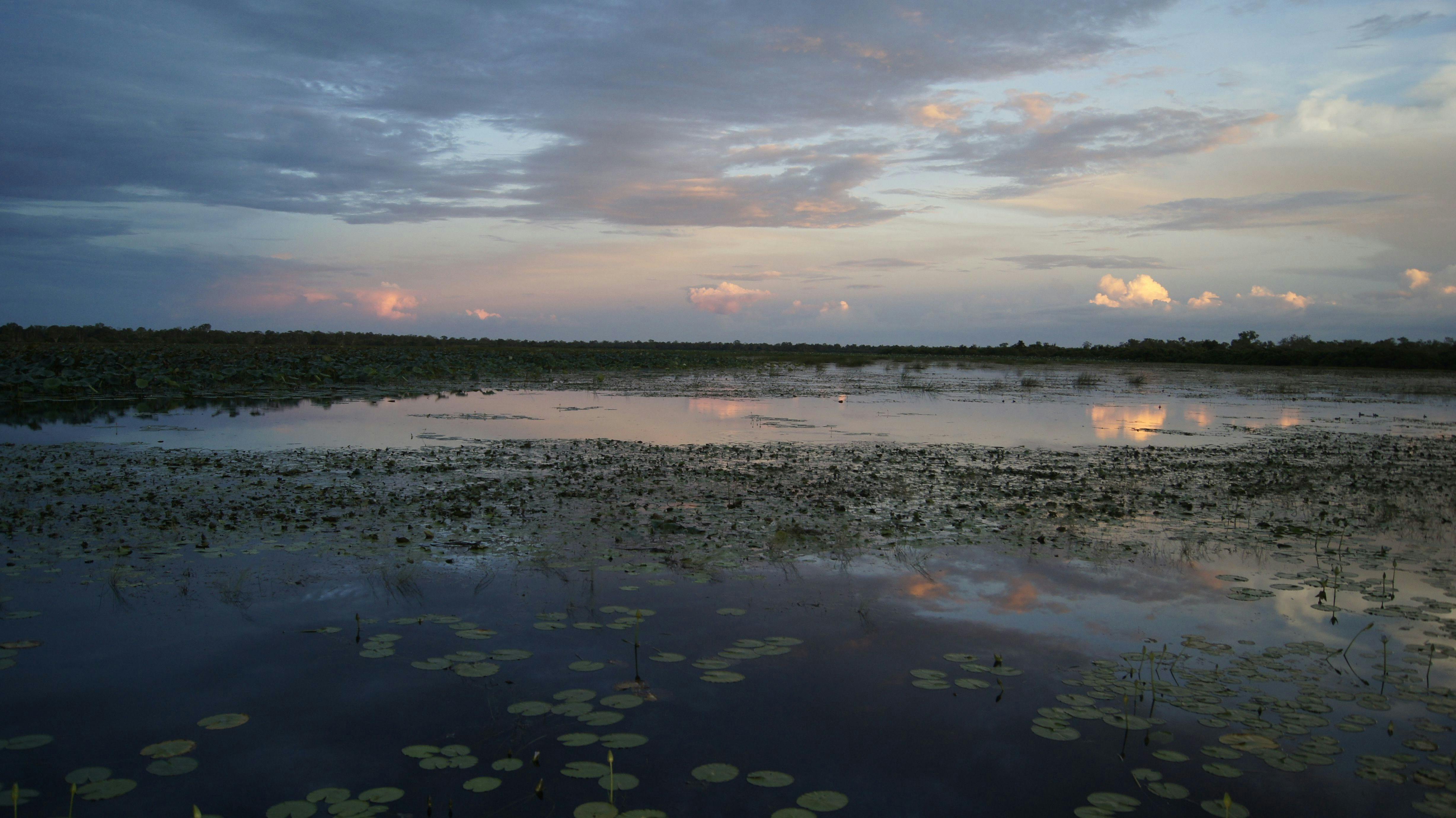 Mamukala wetlands walk