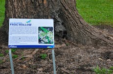 Frog Hollow interpretive signage