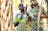 Ayal Aboriginal Tours Kakadu