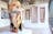 Outstation Gallery
