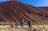 Uluru-Kata Tjuta Signature Walk