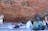 Brookes Australia Tours