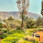 Desert Park - red earth parth and botanic garden with bench