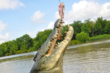 Litchfield Tour with Jumping Crocodiles and Sunset
