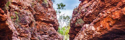Simpsons Gap