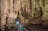 Cutta Cutta Caves Nature Park