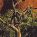 Uluru Tree