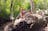 Kakadu & Beyond Green Season Tours