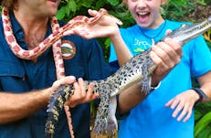 snake 2