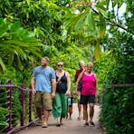Visitors exploring the Gardens
