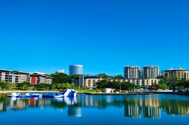 Zebrahood (Darwin)