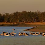 Barkly Tablelands