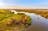 Corroboree Billabong Wetland Cruises - Full Day Tour including 2.5 hour lunch cruise