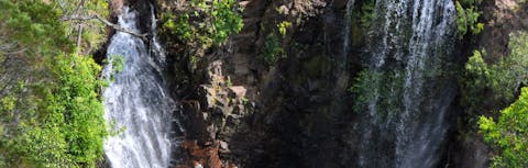Waterfall at Florence Falls