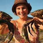 Cobourg Mud Crabs
