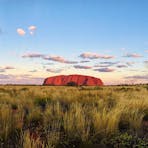 Ayers Rock beautifully lit shining in the sun looking across the grassy spinifex plains