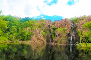 Full day Litchfield Park Tour and Jumping Crocodile Small Group