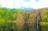 Full day Litchfield Park Tour and Jumping Crocodile Small Group