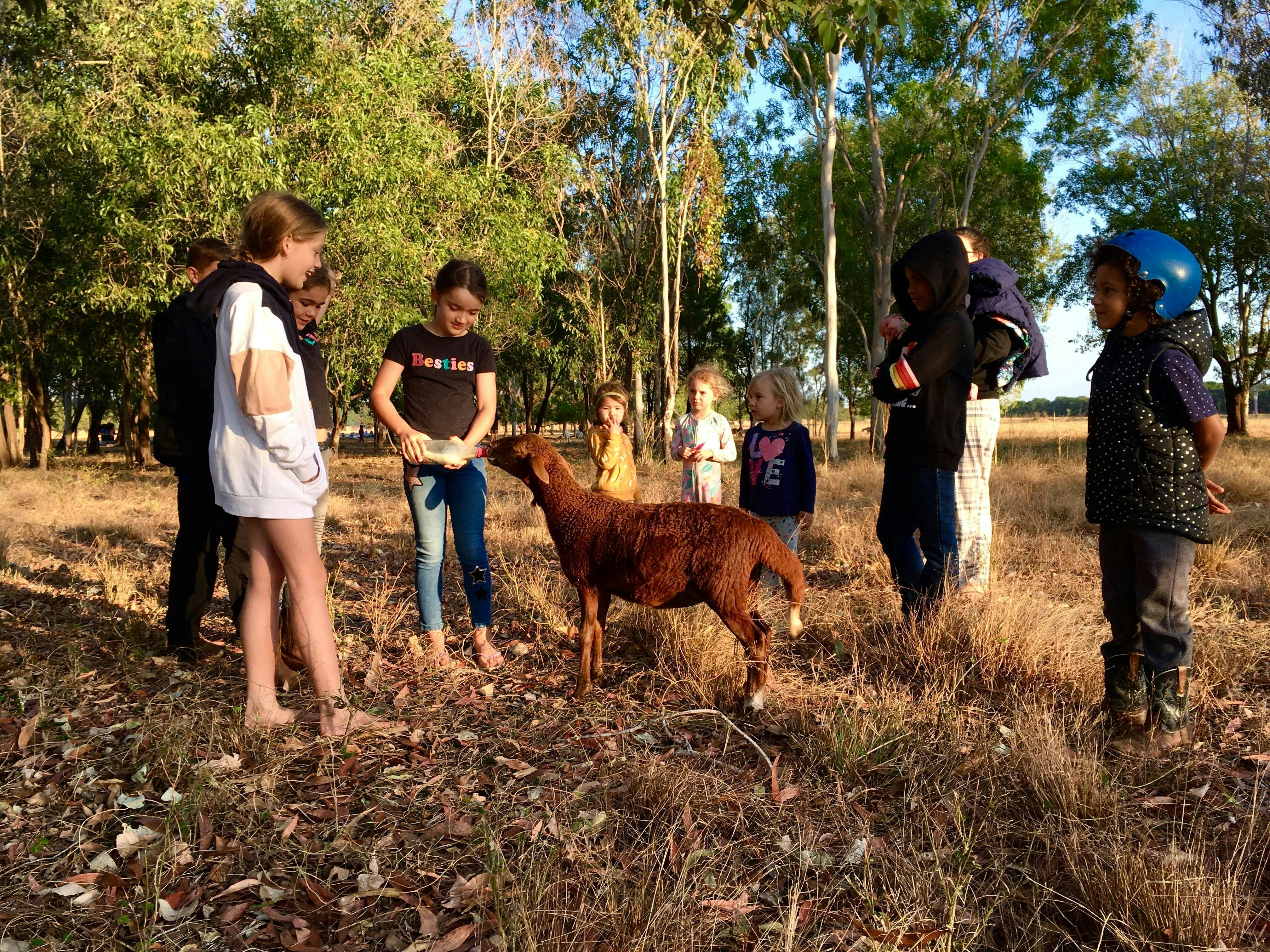 Daly River Wildlife & Adventure Lodge
