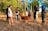 Daly River Wildlife & Adventure Lodge