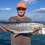 barracuda darwin