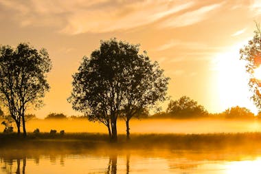 Kakadu & East Alligator River | 2 Day Short Break