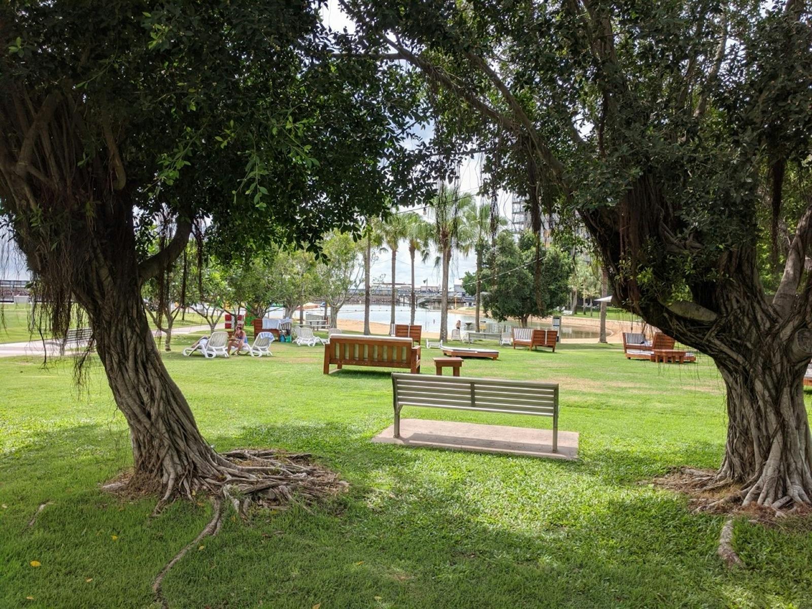 Trippy trees at Darwin Waterfront