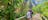 George Brown Darwin Botanic Gardens