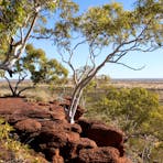 view over escarpment