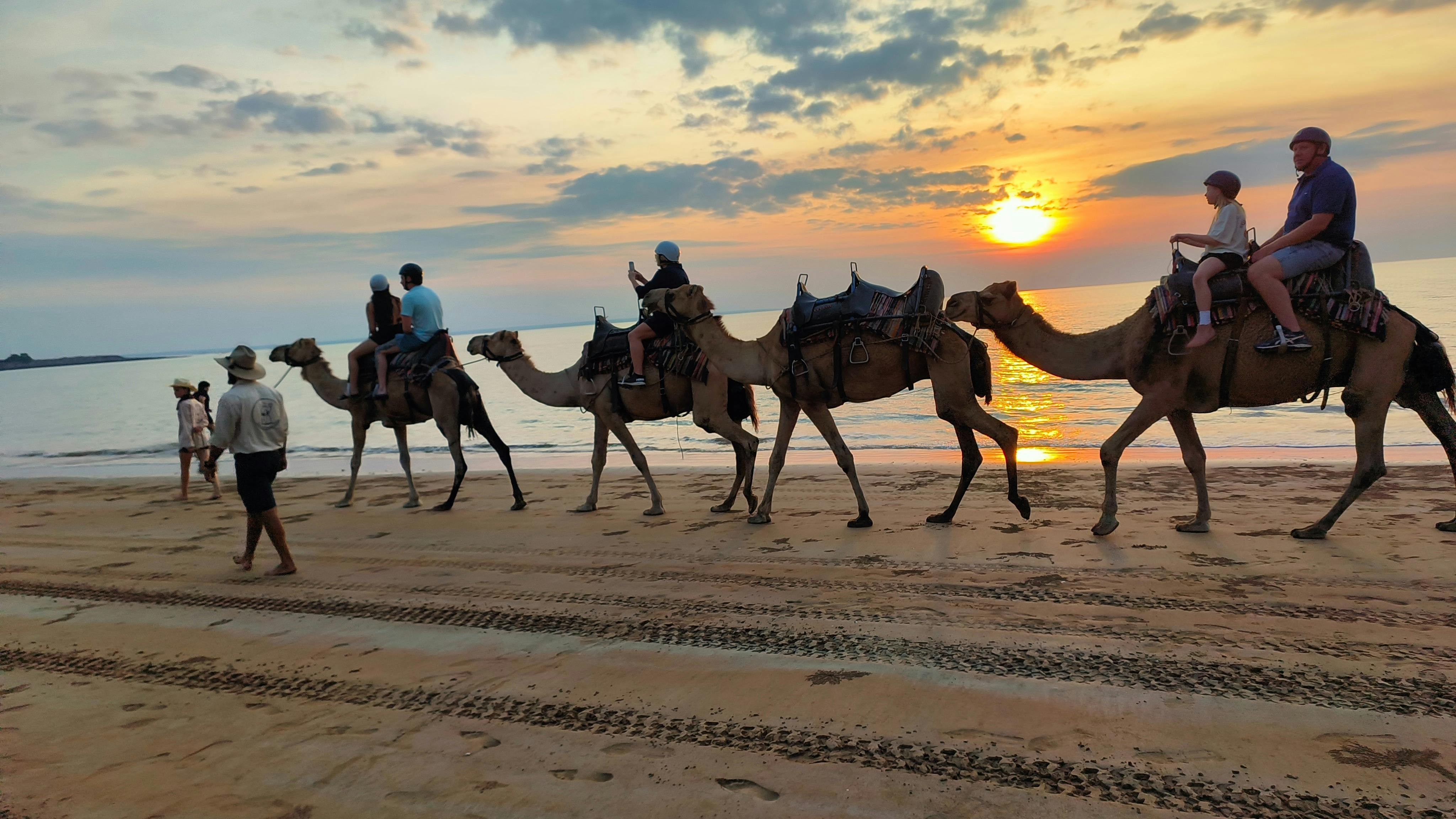 camel rides at mindil beach