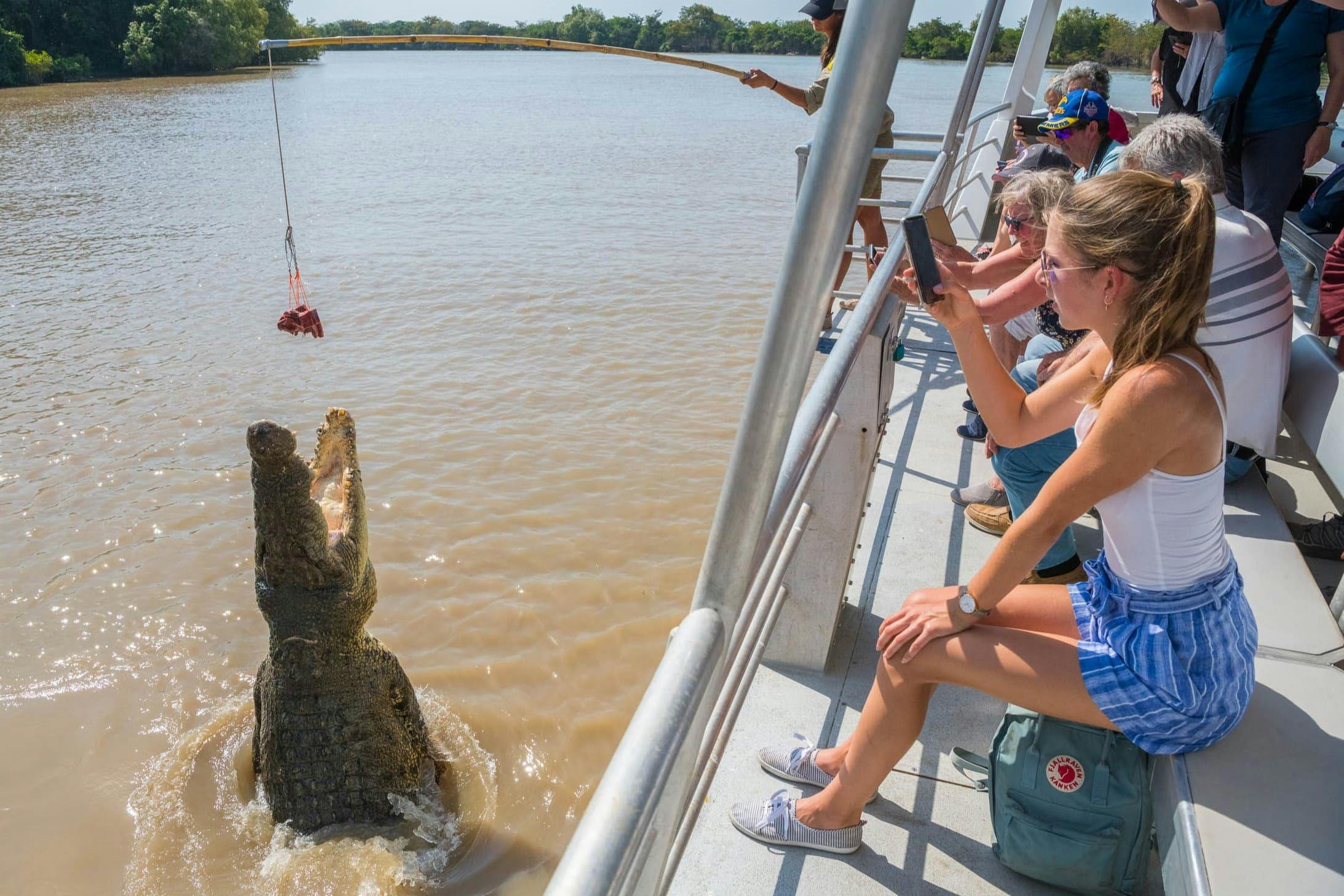 Spectacular Jumping Crocodile Cruise
