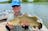 Billabong Barramundi Fishing Escapes