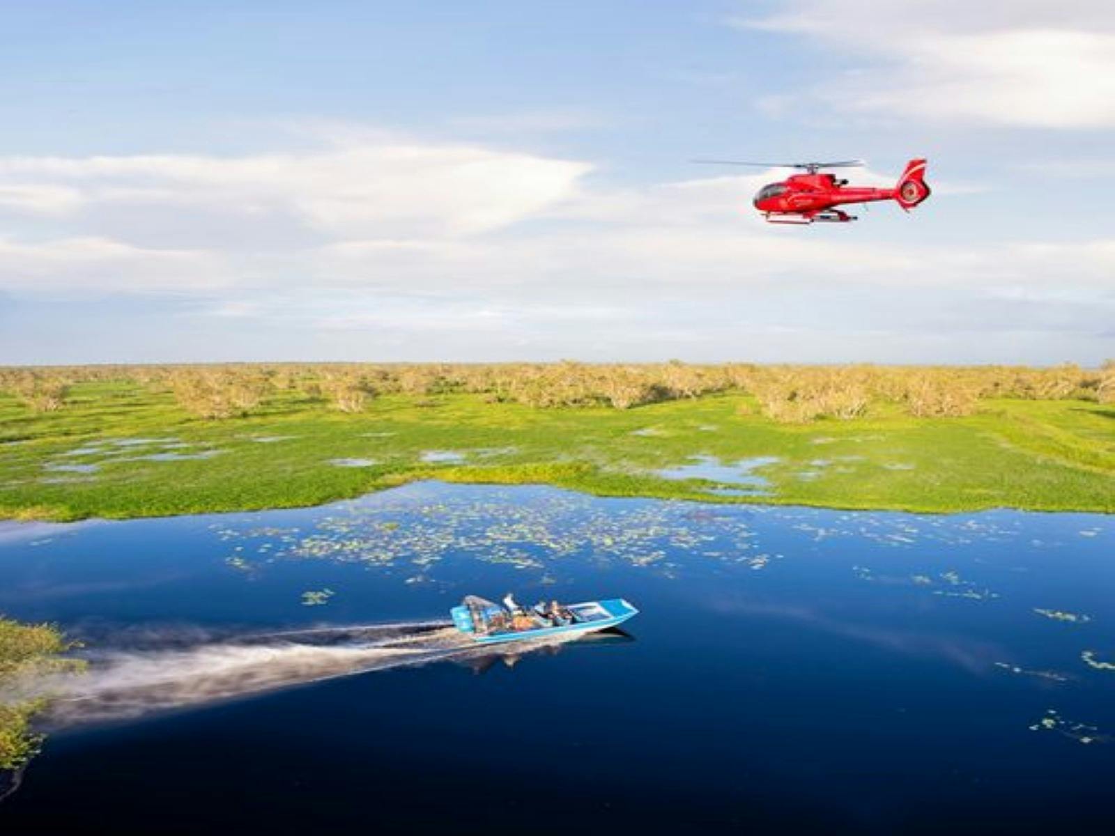 Wetlands Airboat Adventure
