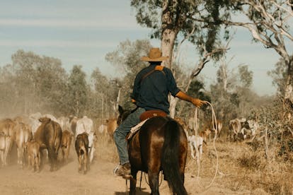 Bullo River Station