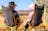 Discovery Resorts – Kings Canyon