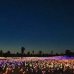 Uluru_Field-of-lights