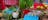 Horticulture entries