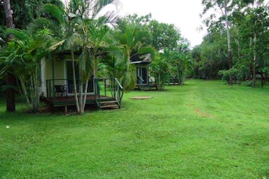 Pandanus on Litchfield
