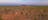 Toyota Hilux 4WD Camper at Uluru-Kata Tjuta NP
