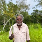 Manuel Pamkal holding Djarlk grass for making paintbrushes.