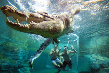Crocosaurus Cove