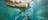 Large Saltie swims passed submerged guests in the Cage of Death at Crocosaurus Cove