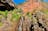 Litchfield 3 Day Bushwalking Tour