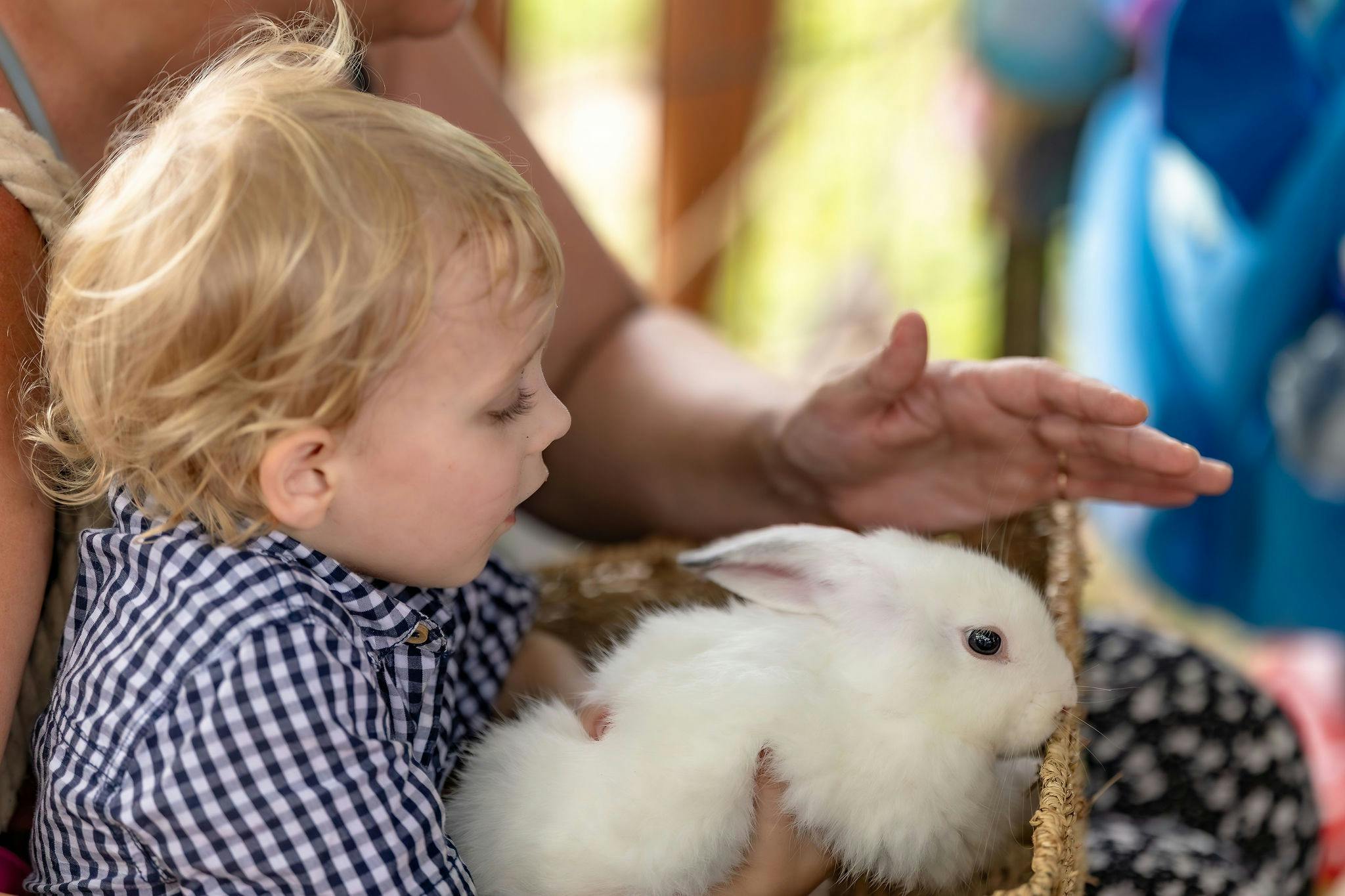 Santa ringing the bell