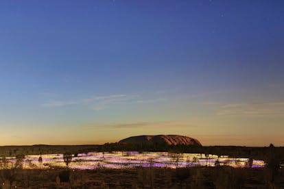 Field of Light Tours