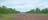 Hughes Airstrip looking north.