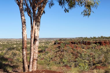 Kalkaringi