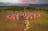 The Kimberley & Pilbara - 14 days