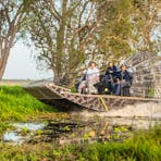 A group of people riding on an airboat through wetlands in the Northern Territory