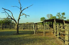 Bullita - Judbarra / Gregory National Park